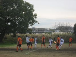 ���W�F���h