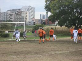 ���W�F���h